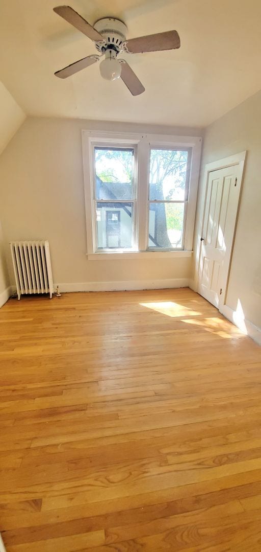 Photo - Lower 1 Bedroom Apartment