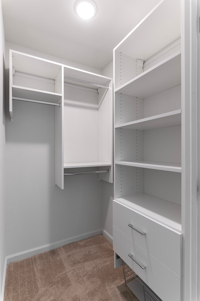 2BR, 1BA - Walk-in Closet