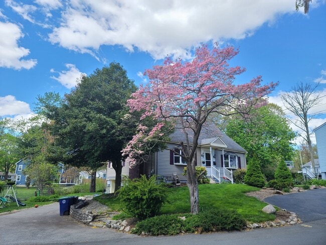 Front in Spring - 55 Newport Ave