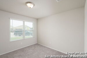 Photo - 3619 Storm Moon