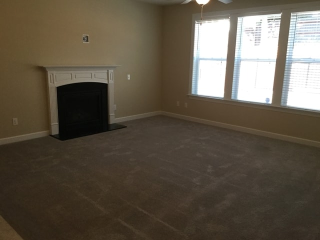 Photo - 729 Tree Green Ln