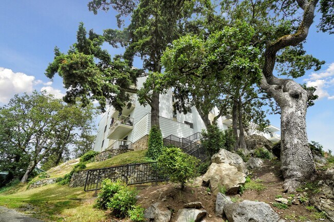 Photo - Macaulay North Apartments