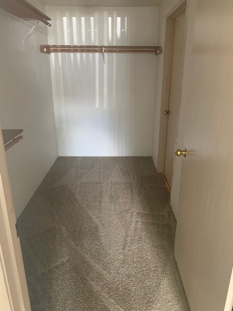 Photo - On the Boulevard