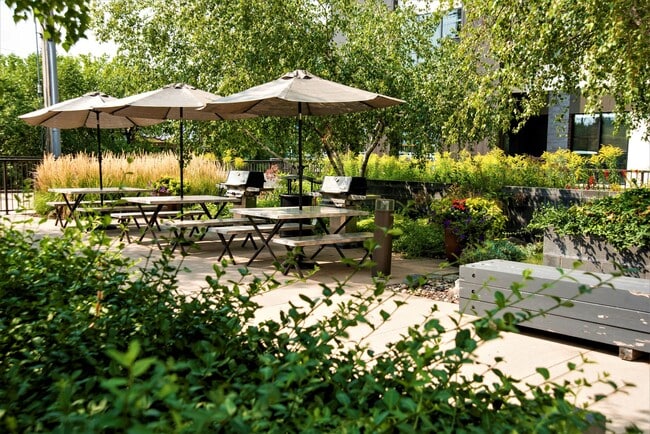 Courtyard - The Murals of LynLake