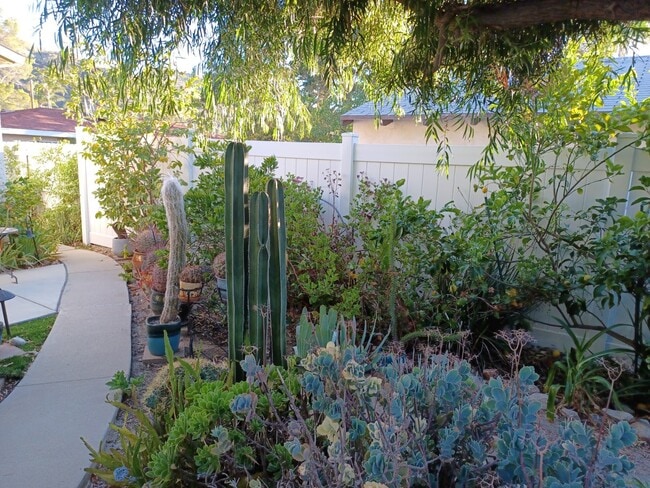 view out front door