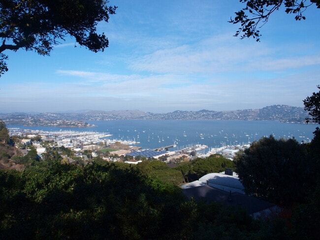Building Photo - Sausalito Single Family with Spectacular 180 View