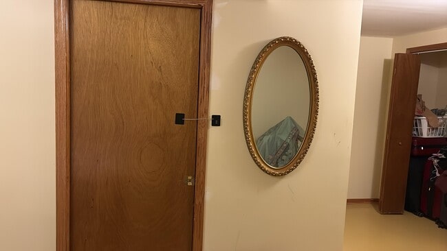 Photo - Basement