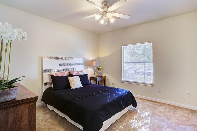 Photo - 9700 FM 1097 Rd Unidad 807