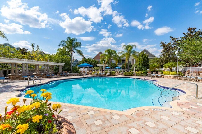 Discovery Palms