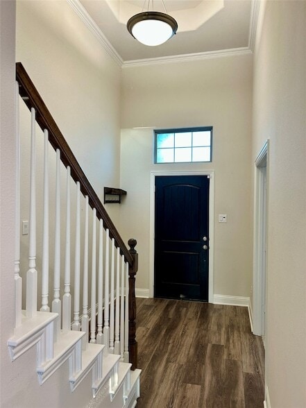 Photo - 541 Firethorn Dr