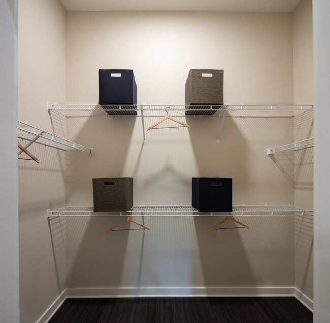 Walk-in Closet
