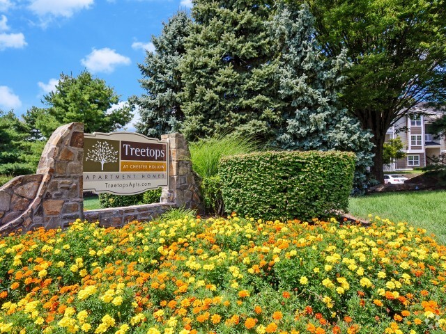 Building Photo - Treetops at ChesterHollow Rental