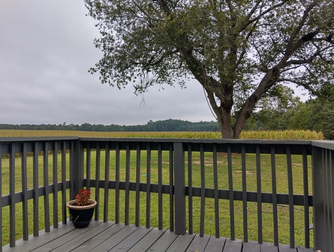 Building Photo - Adorable farmhouse ready for new long term...