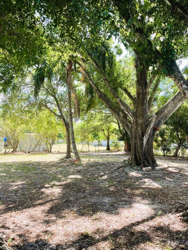 Photo - North Fort Myers Single Family Home