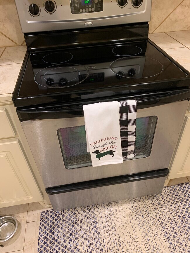 Stove - 107 Whispering Oaks Xing