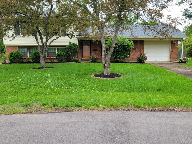 Building Photo - 2508 Rhett Ct
