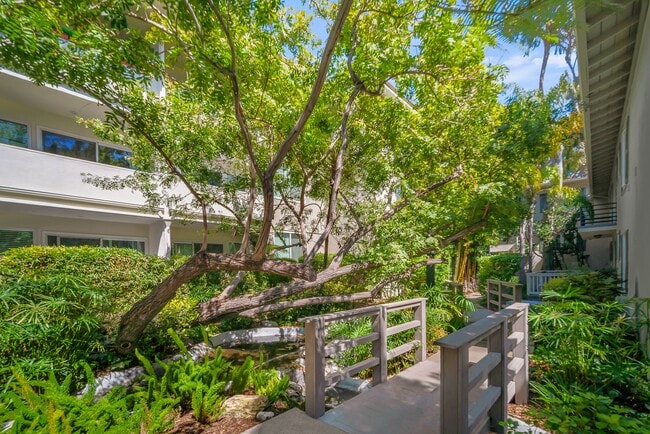 Photo - Sunset Barrington Gardens