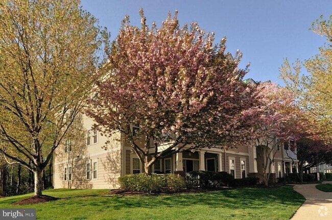 Building Photo - 13103 Millhaven Pl Unit 8-E Rental