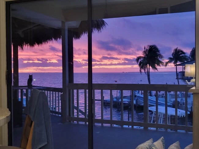 Building Photo - 222 Bristol Ct