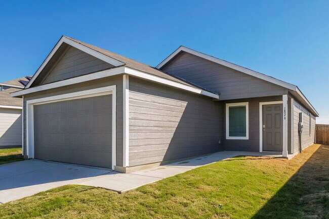 Photo - 1826 Musk Rose