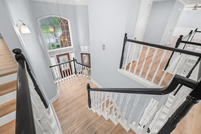 Building Photo - 3622 Springhill Ln