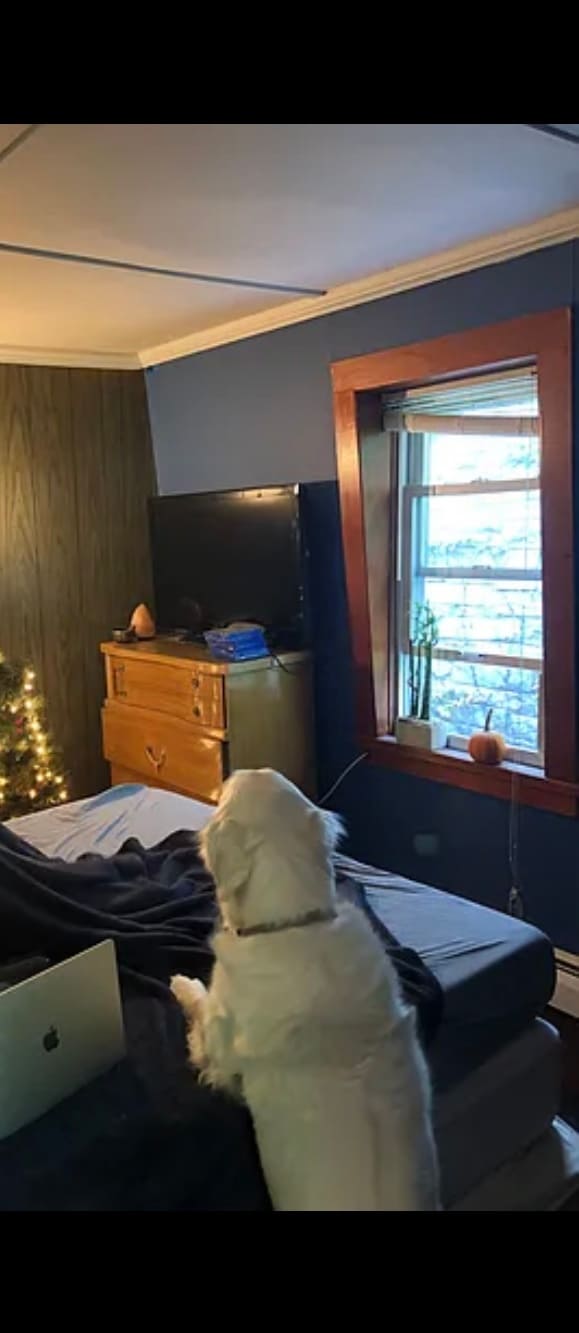 Building Photo - 9 Lincoln St