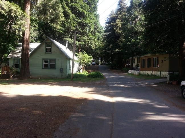 Photo - Whispering Pines Apartments