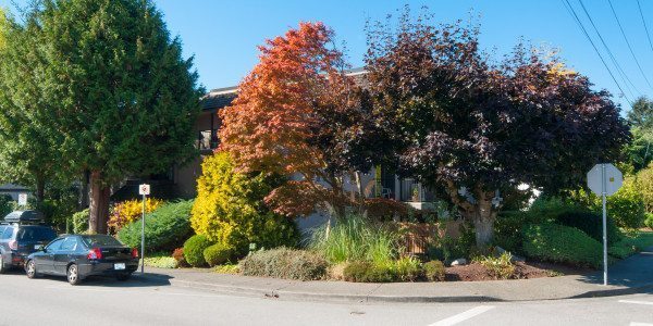 Photo - 1285 Martin St