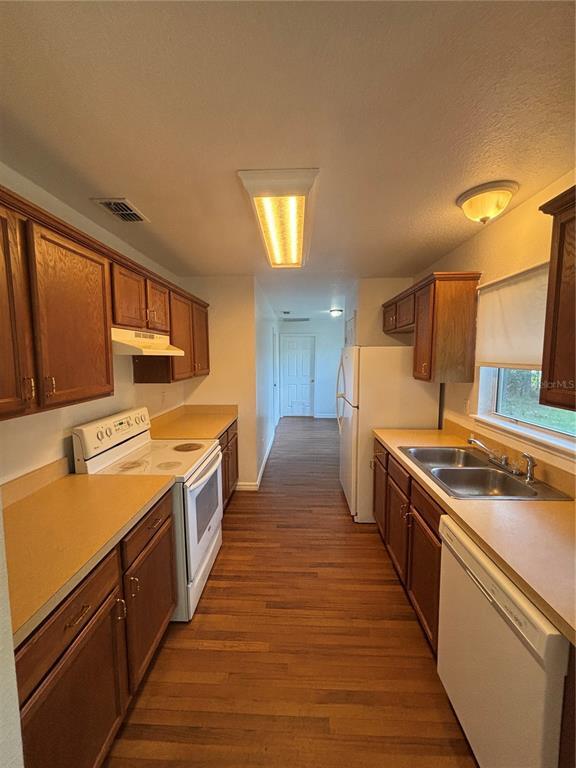 Photo - 8 Redwood Track Run