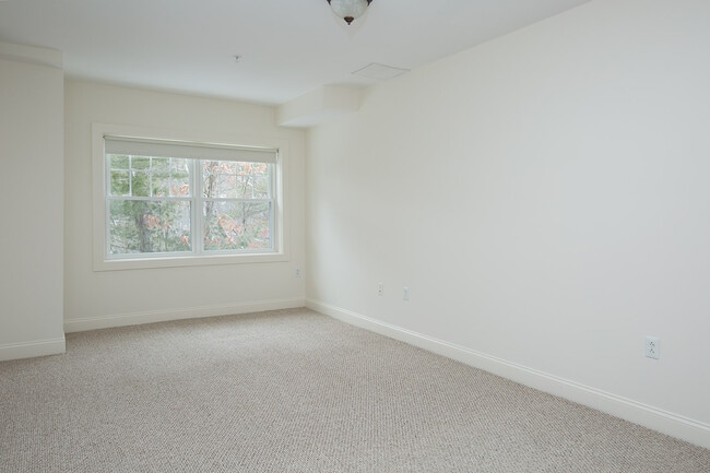 Photo - Warner Woods