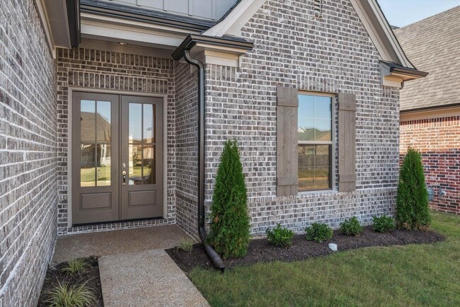 Photo - 90 Downy Birch Cv