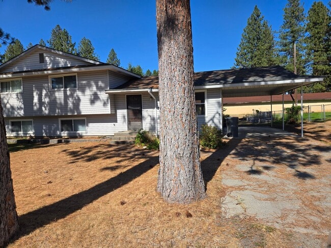 Building Photo - 10005 Unit 10007 Rental