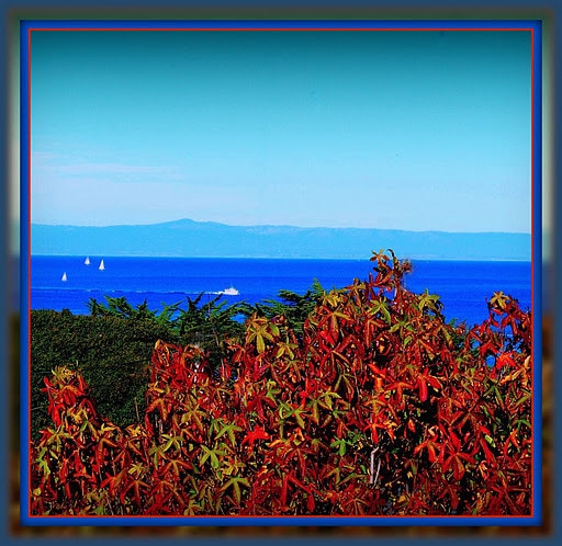 View from Triplex Unit - 137 4th St Unit A