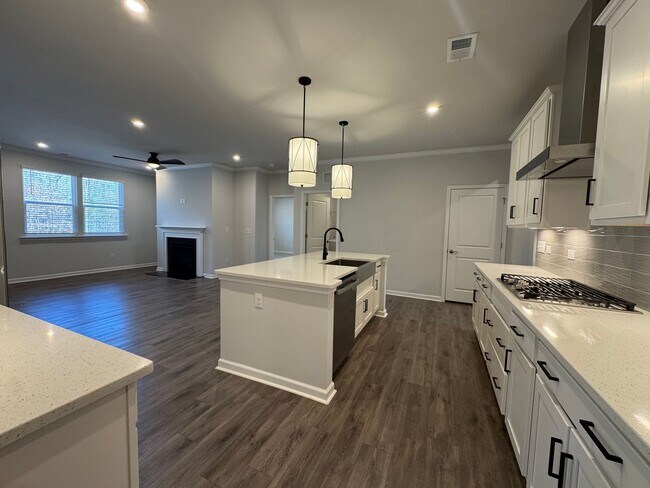 Photo - Spacious 1.5-Story 4BR Home with Bonus Room in Active 55+ Community