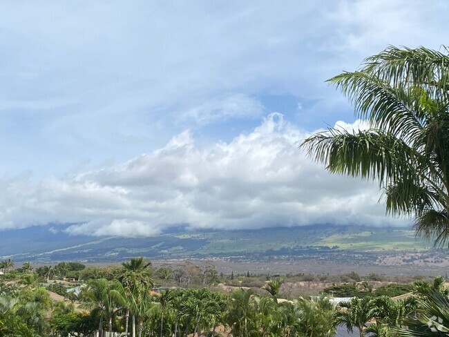 Building Photo - Tropical oasis Rental