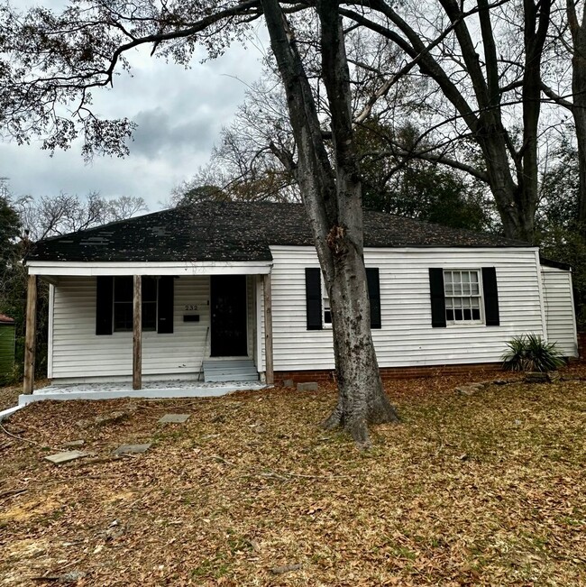 Quaint 3 Bedroom 2 Bath House in West Fondren - Quaint 3 Bedroom 2 Bath House in West Fondren