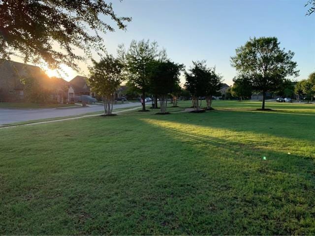 Photo - 2321 Petunia Ln