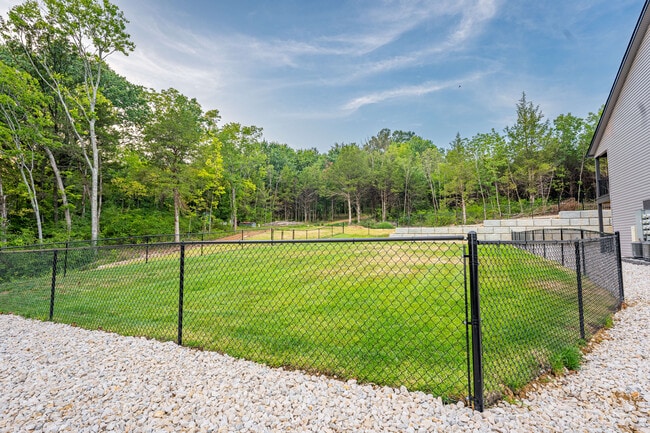 Dog Park