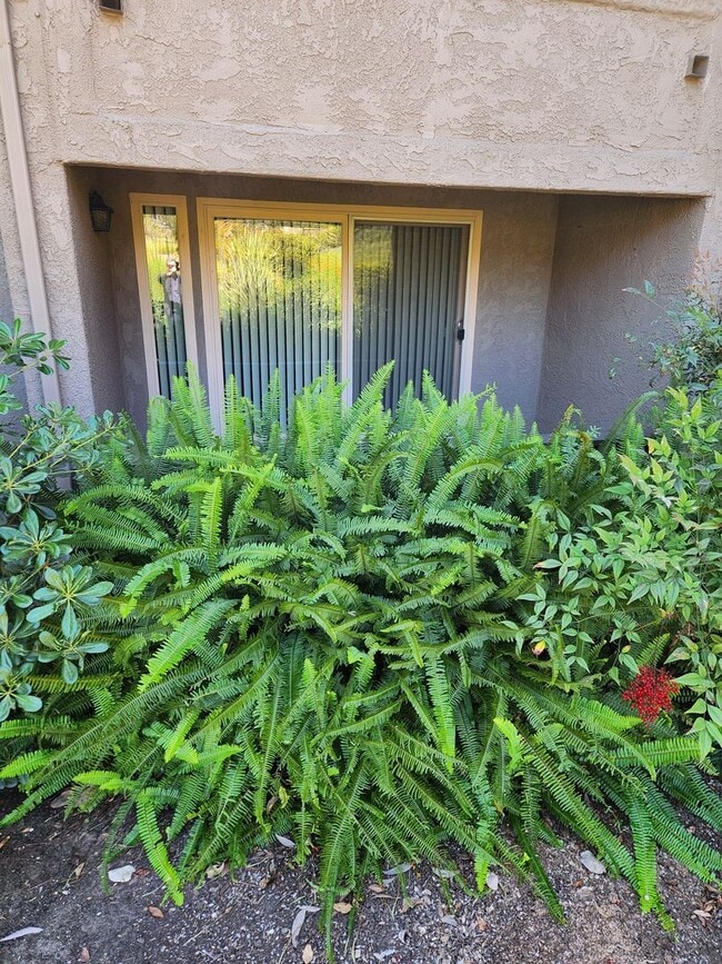 Photo - Mission Valley remodeled 2 bed 2 bath vinyl wood floors