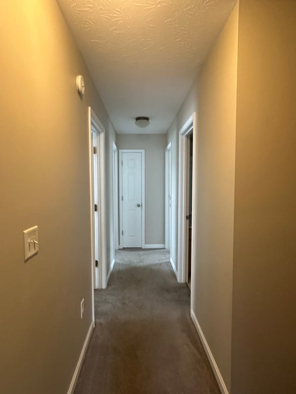 Photo - 207 Vineyard Rd