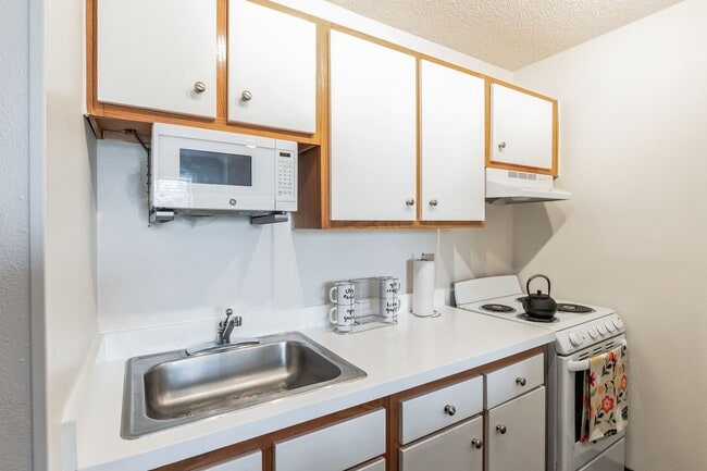 Vivo Living Charlotte University
