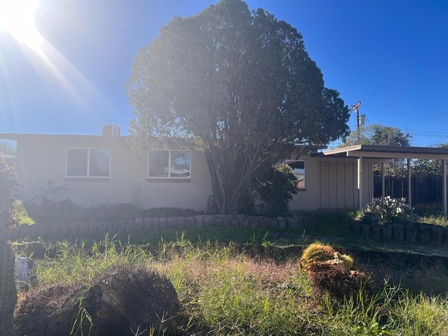 Building Photo - 6334 E Calle Luna