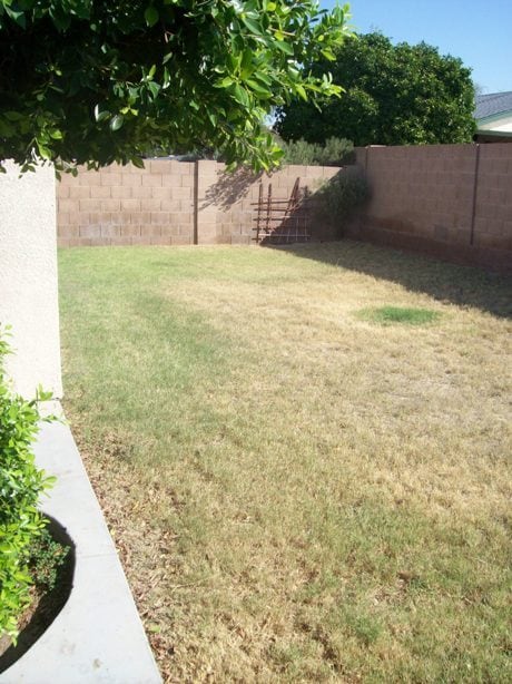 Photo - 2301 N 87th Way