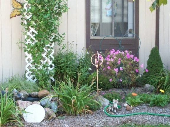 Rock Garden