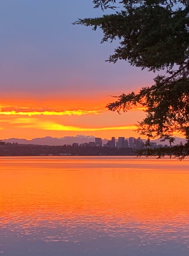 sunrise Views at Lake Washington - Beautiful Waterfront Community Unit 12