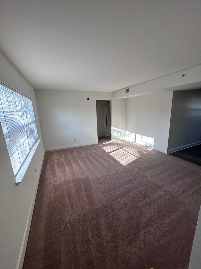 1 Bd Living room