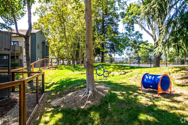 Dog Park - Avana Vista Point