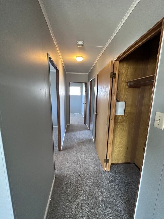 Photo - 3 Bedroom 1 Bath Home - Available February 2nd 2026