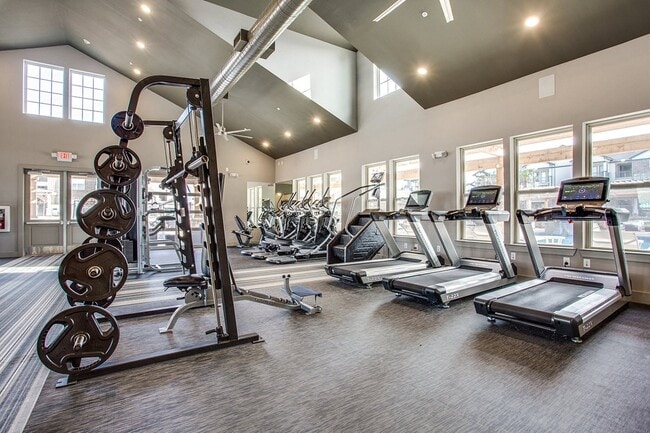 Gimnasio de entrenamiento cardiovascular y de musculación