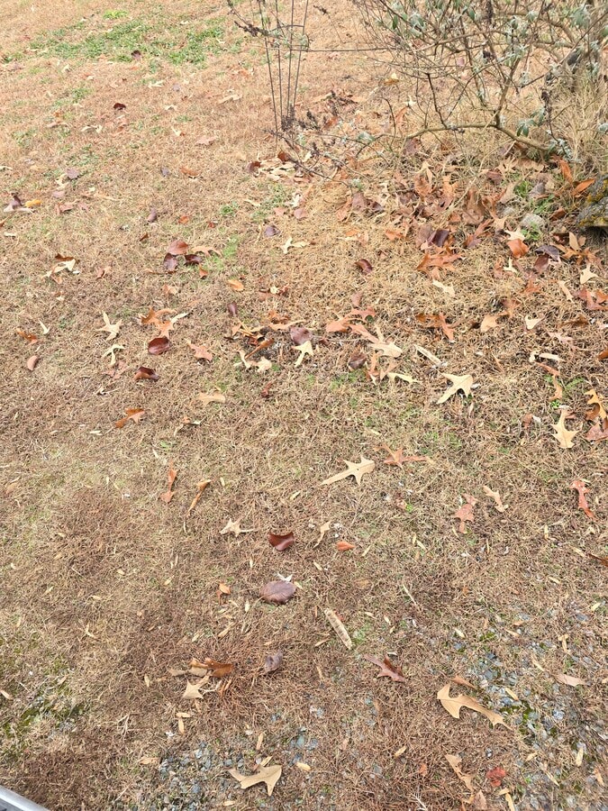 Photo - 1002 Drinking Swamp Rd